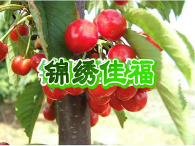 ӣң5