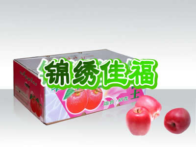 ̨츻ʿƻ