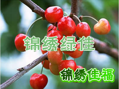 ӣң10ʱ